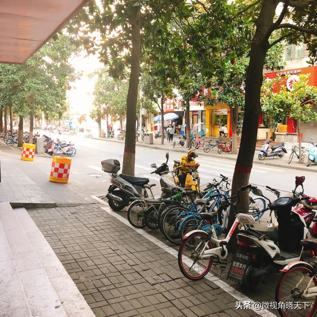 信阳最好的5所高中,信阳最好的十所高中