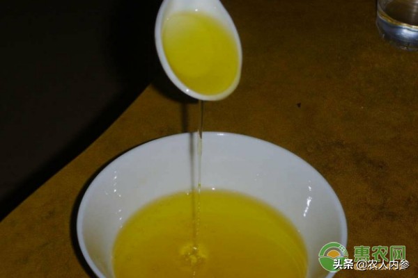 内蒙古葵花籽价格最新行情,菜籽油花生油葵花籽油多少钱一斤