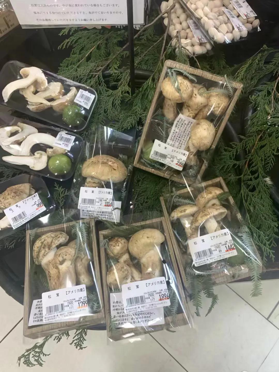 日本名古屋景点玩乐,日本名古屋旅游必需品