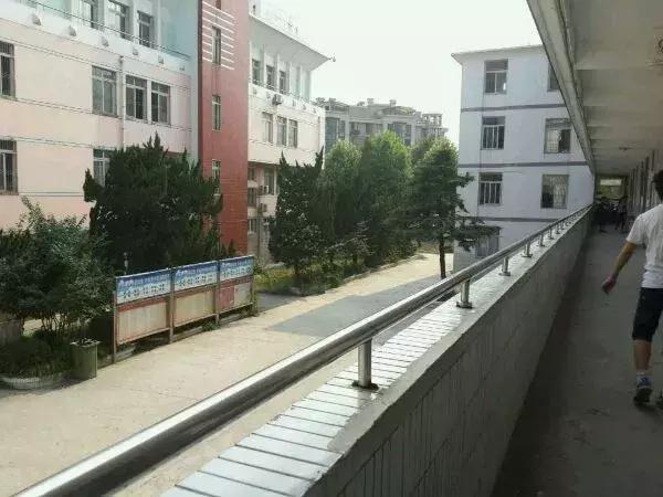 庐阳高中2017分数线,庐阳高中录取分数线2019