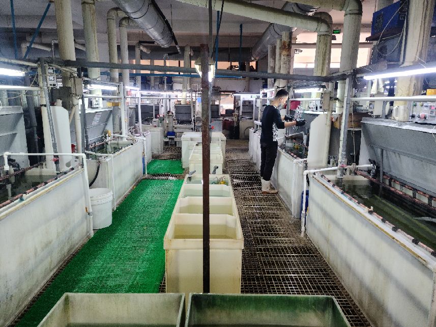 青岛天元工艺品有限公司,青岛瑞祥工艺品有限公司