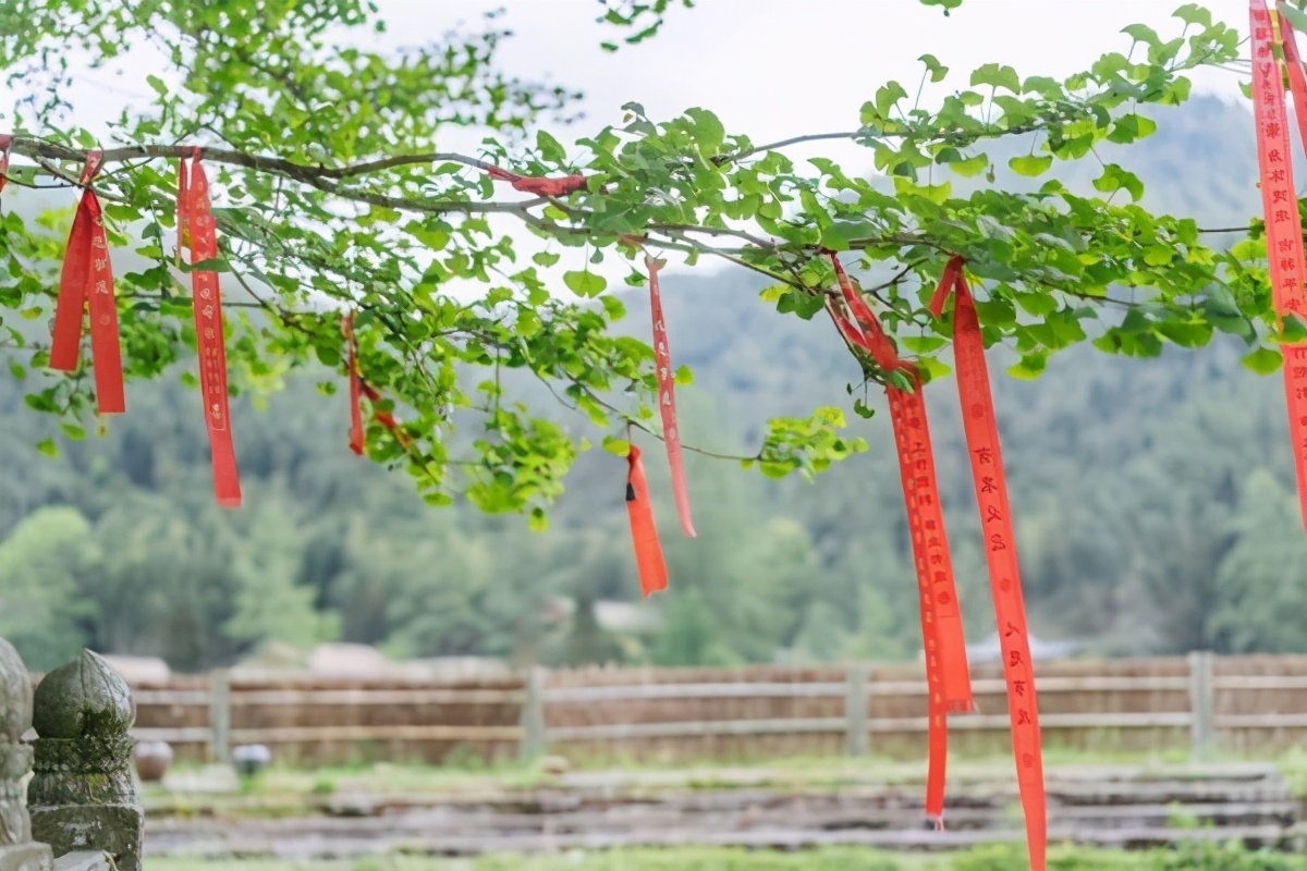 中国超美的十家民宿推荐,隐居在山林中的精品民宿