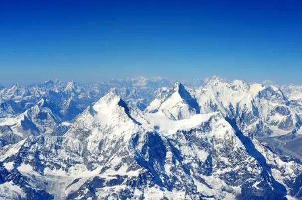 喜马拉雅山上发现的最美的兰花,世上最珍贵的兰花价格