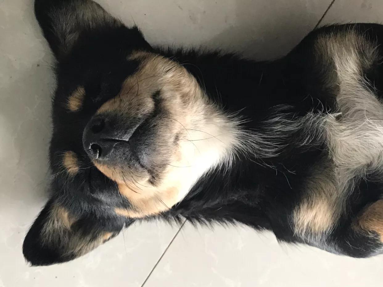 验证appleid服务器出错,验证appleid频繁弹出是怎么回事