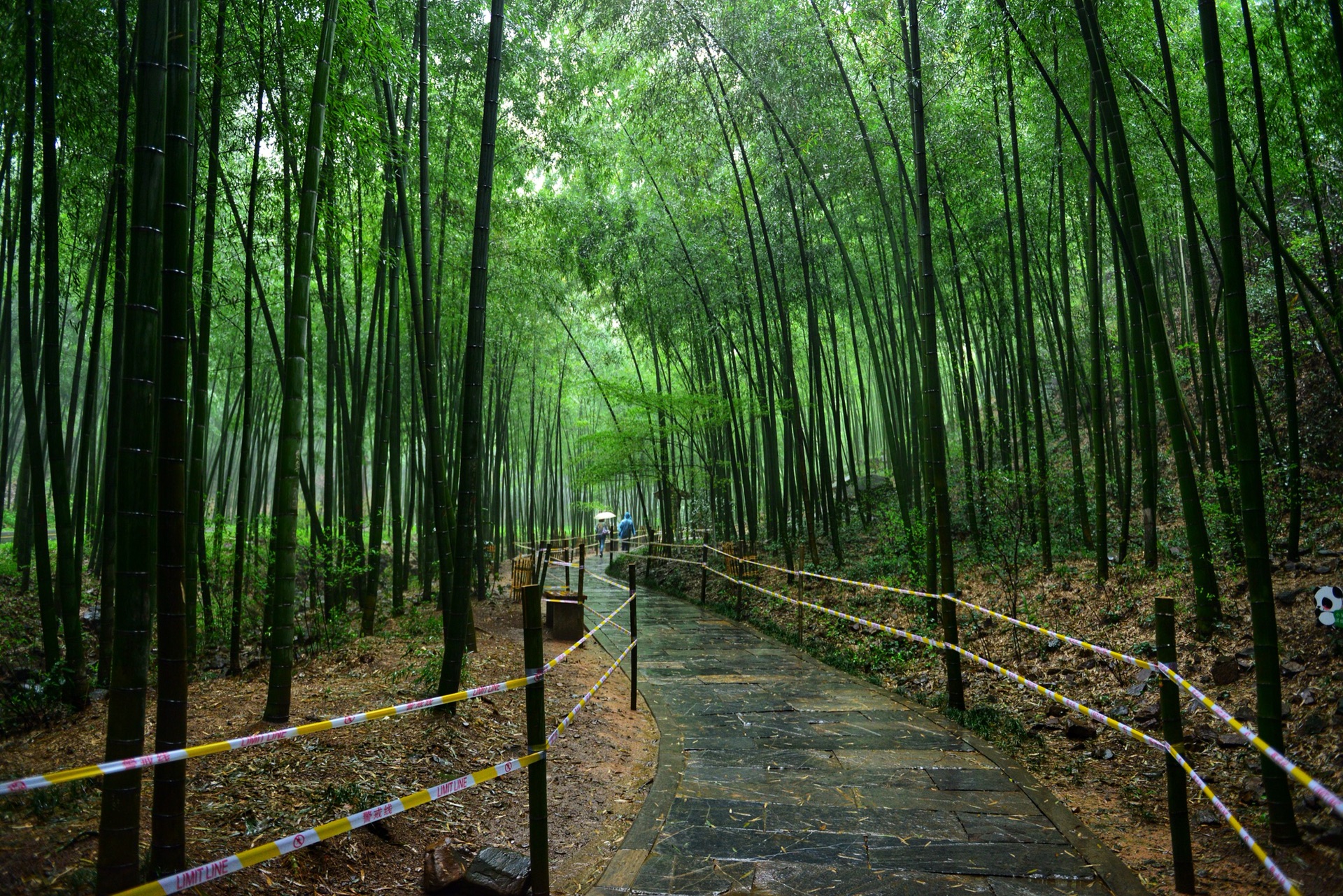 江苏溧阳南山竹海是几a级景区,江苏旅游十大必去景区南山竹海