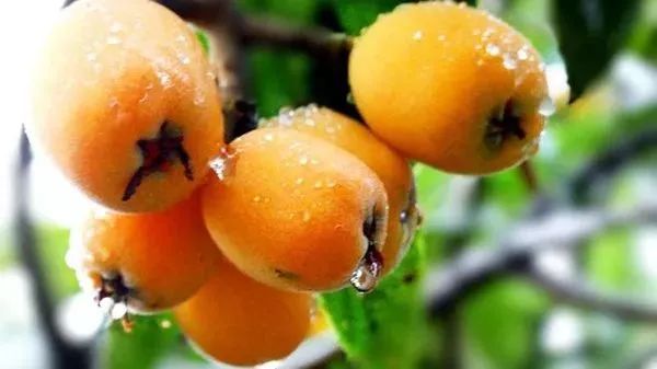 广州隐藏着一个碉楼村,广州有哪些隐藏的景点