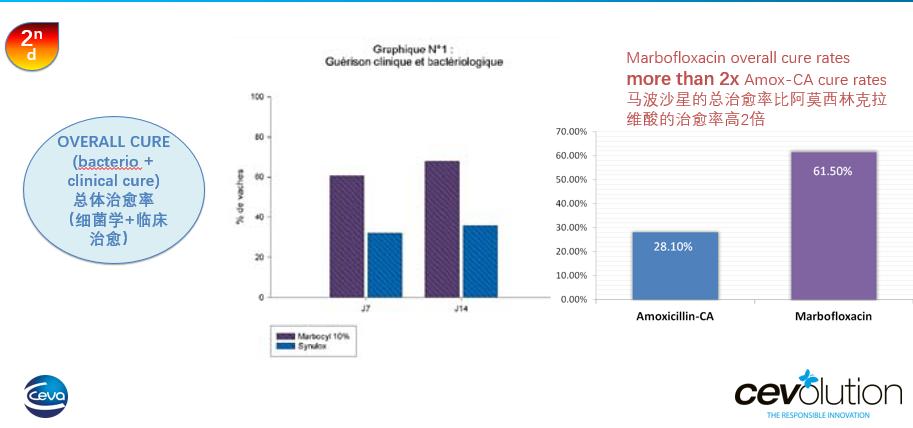 哪种抗生素能治疗乳房炎,乳房炎用什么中药最好