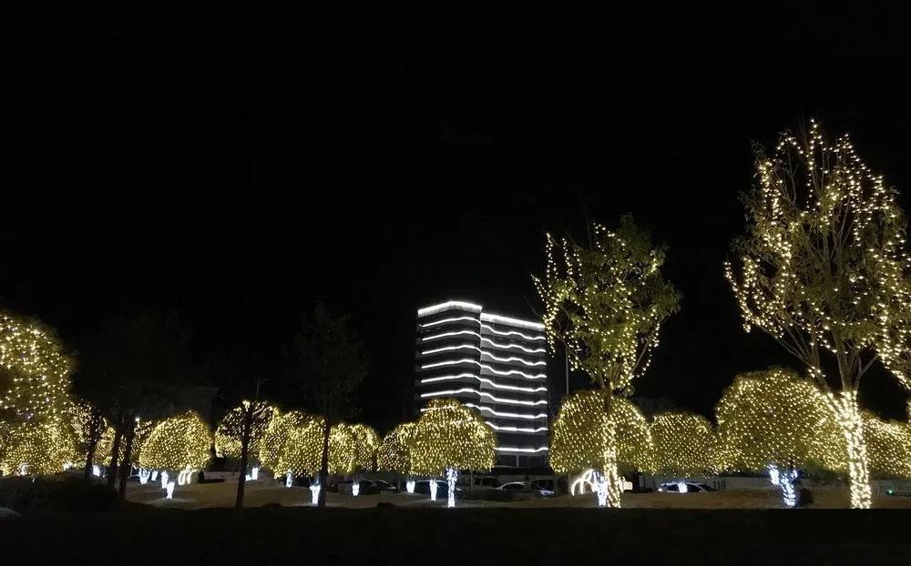 台州踏春好去处,最是一年春好处朗诵