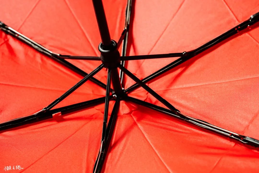 6骨双层长柄雨伞,六骨拱形雨伞