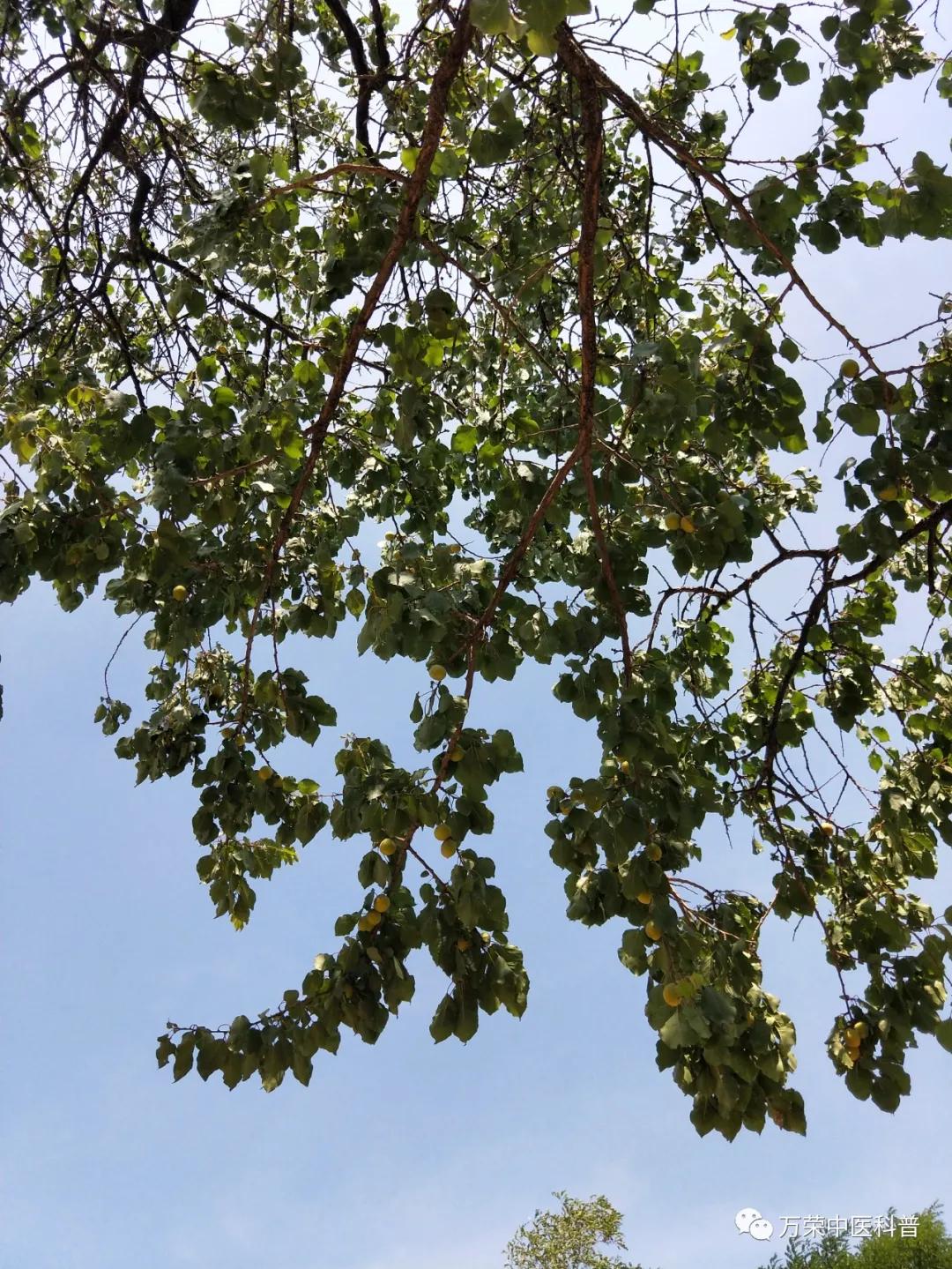 跟我回家在线免费看,跟我回家免费看