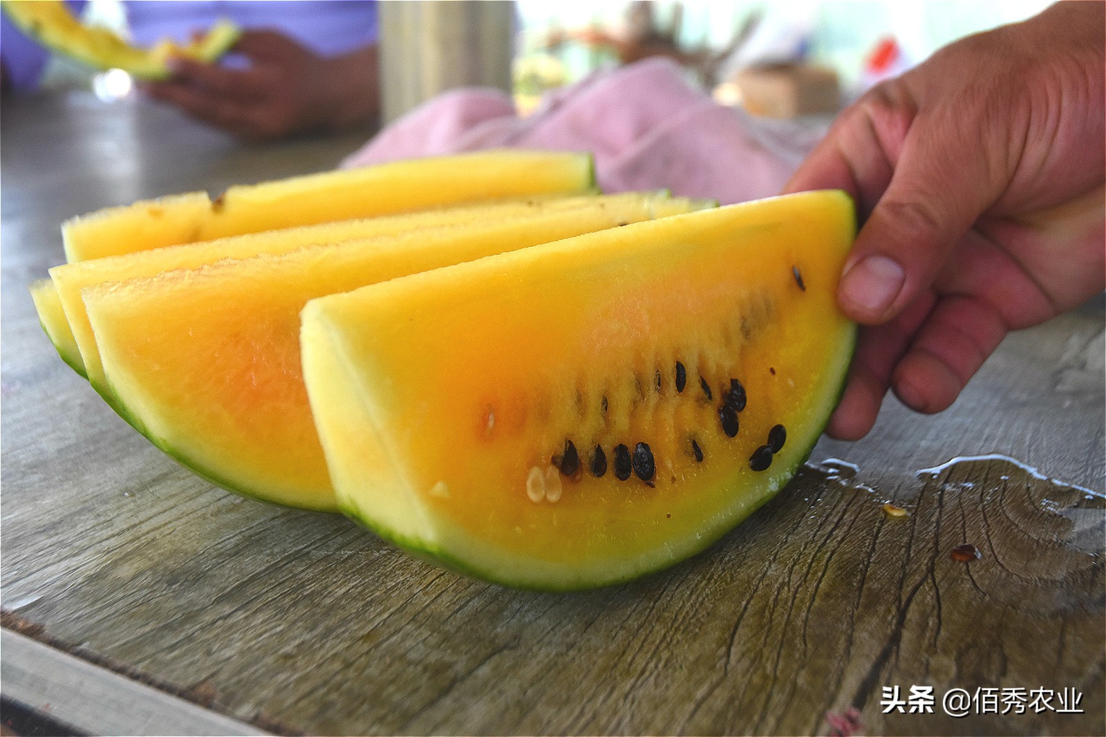 黄皮西瓜种植效益,反季节种植西瓜一亩收入