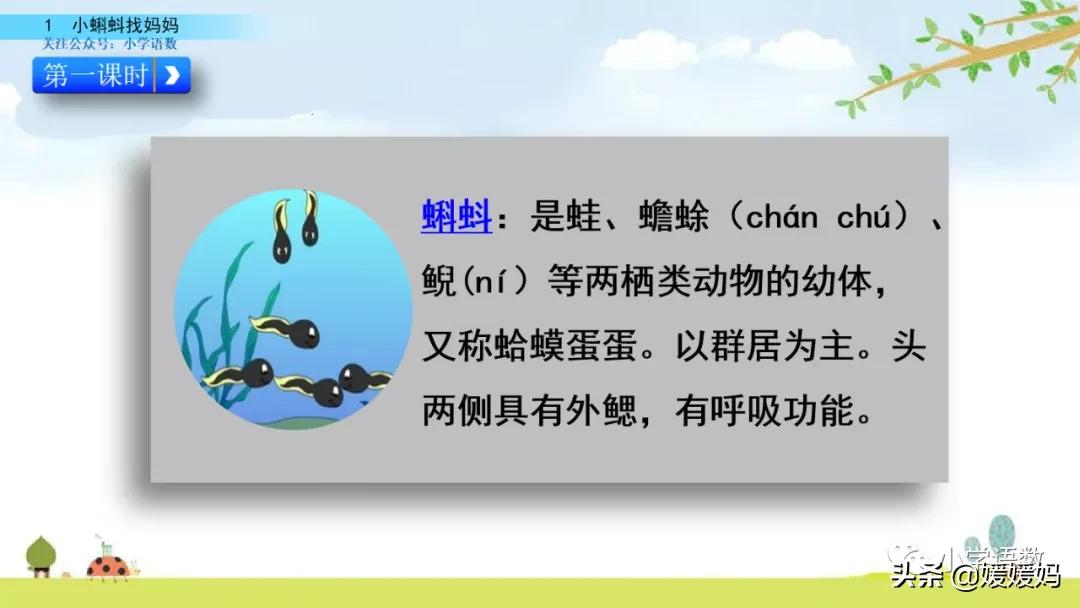 二年级上册小蝌蚪找妈妈听写词语,朗读二年级上册语文小蝌蚪找妈妈