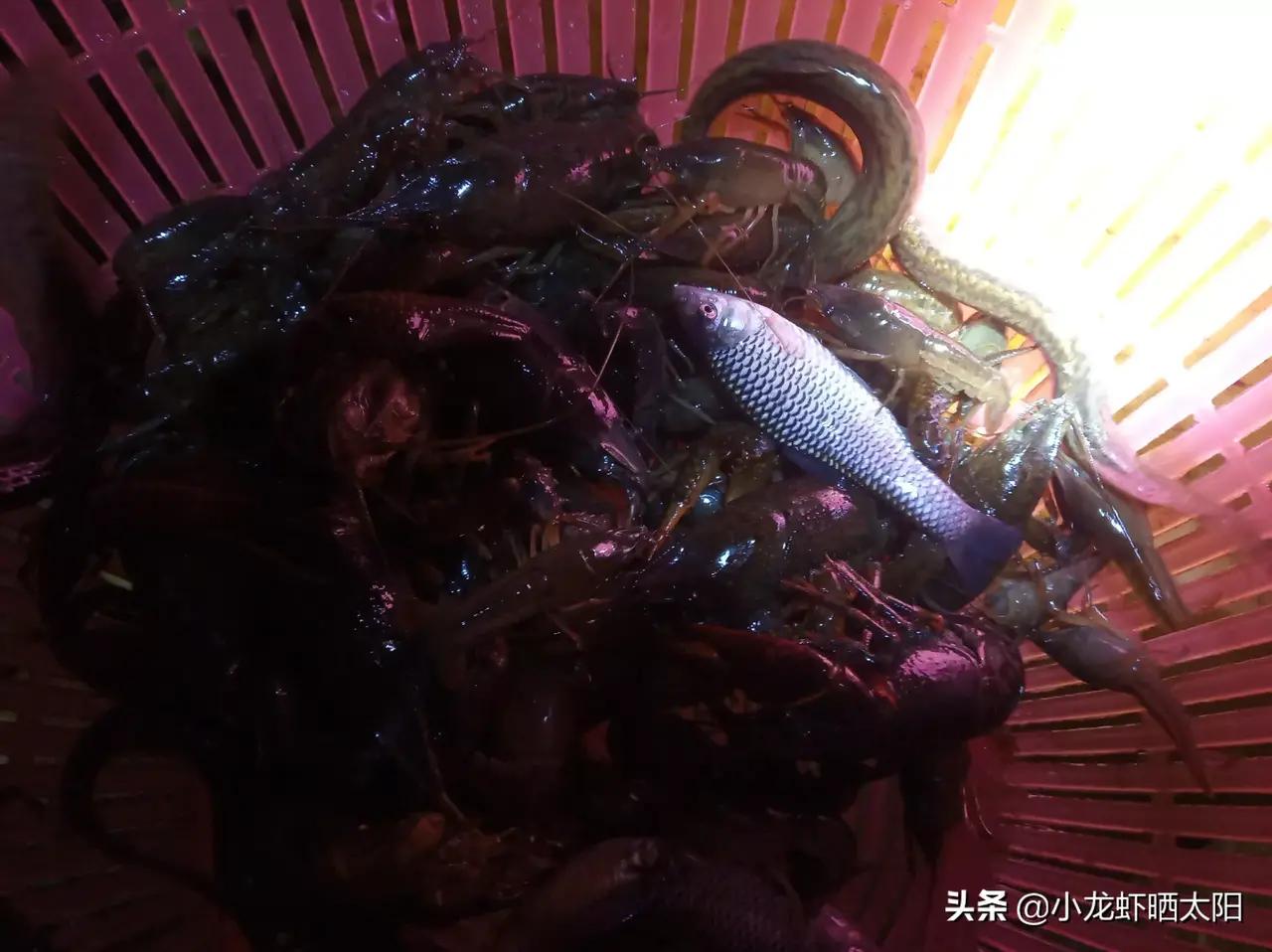 澶у瀷楹︾楸煎拰灏忓瀷楹︾楸肩殑鍖哄埆,甯歌鐨勯害绌楅奔