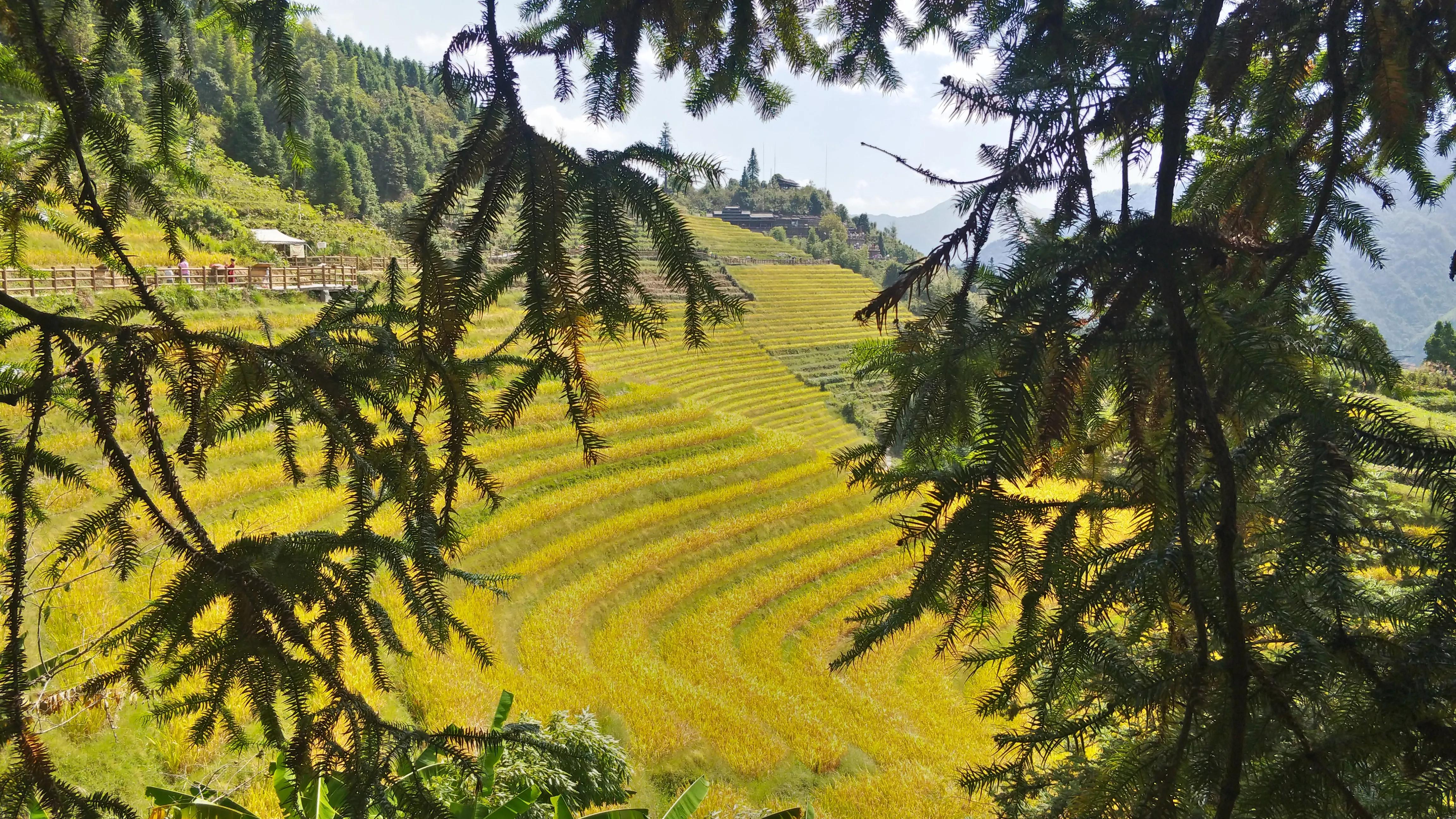 乔布斯的苹果有多厉害,乔布斯苹果为何不是完整的