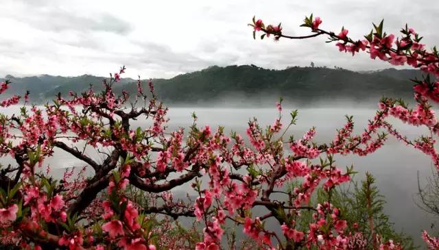 沈阳周边游4天短途旅游,沈阳周边省份游2-3天短途旅游
