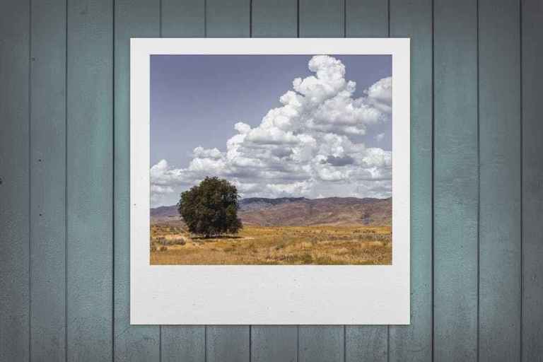 图片无损放大软件人工智能,像素图像放大器