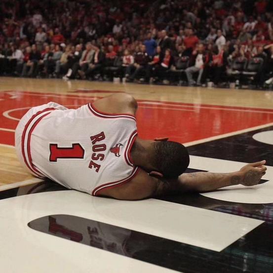 风城玫瑰罗斯头像,风城玫瑰罗斯壁纸