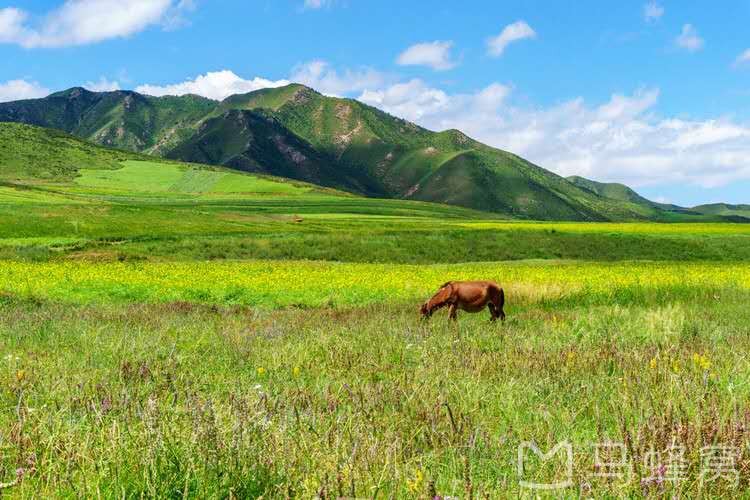 西北大环线六日游自驾攻略,西北大环线张掖出发5日自驾游