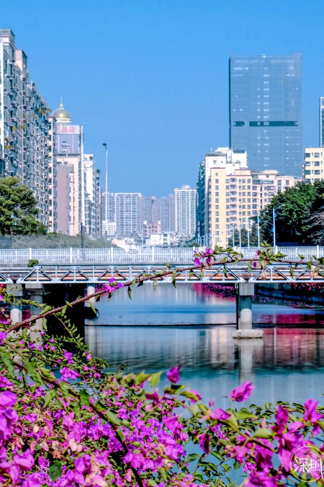 西乡好去处,深圳一个来了就不想走的地方