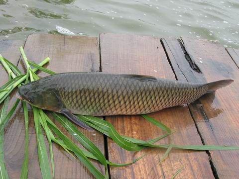 海底捞打边炉,海底捞广东锅底