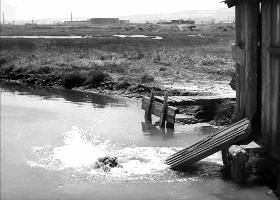 卓别林当我开始爱自己英文版朗诵,卓别林散文当我真正爱自己