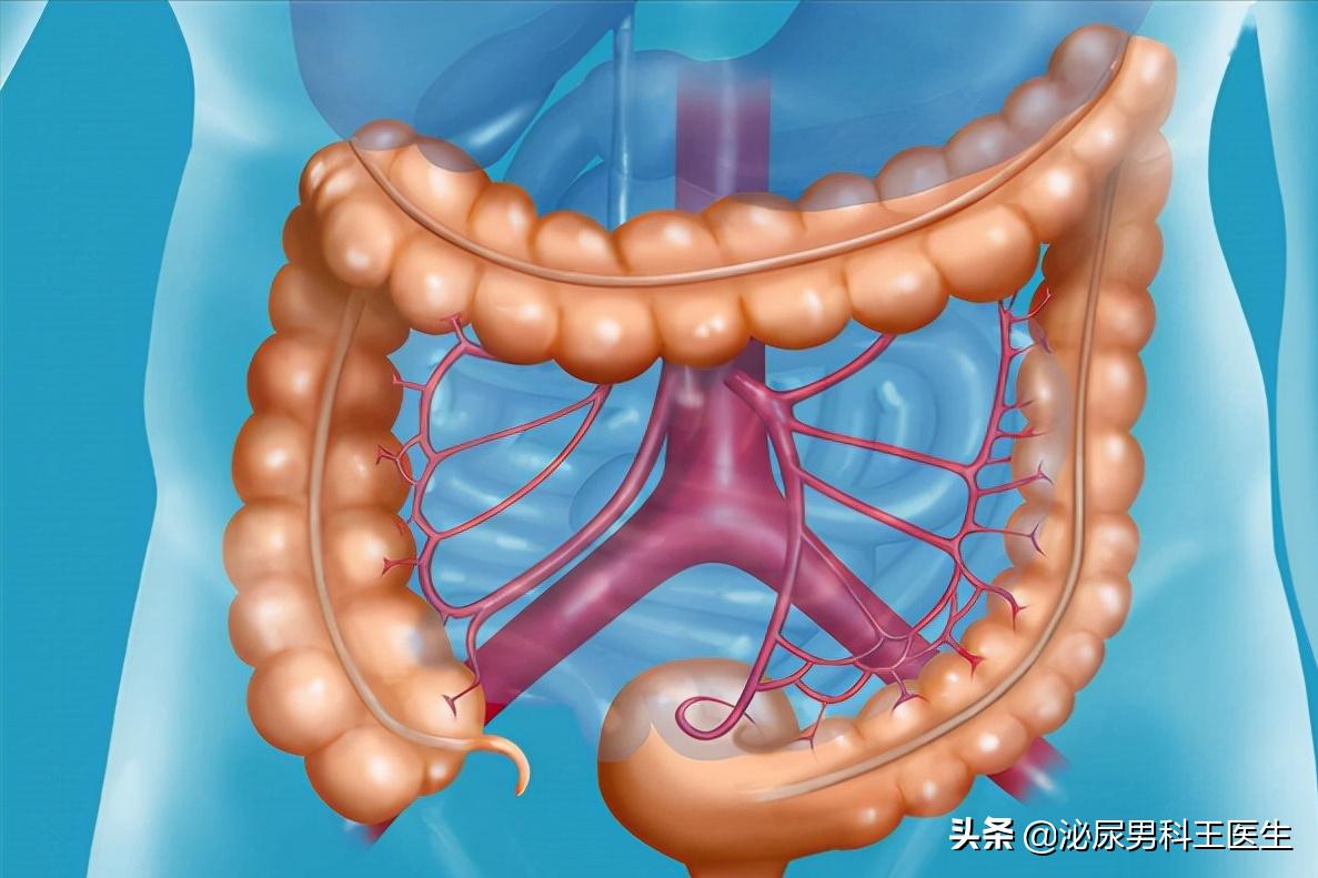 西地那非除了治疗功能障碍,还有4种作用,多了解点总没坏处