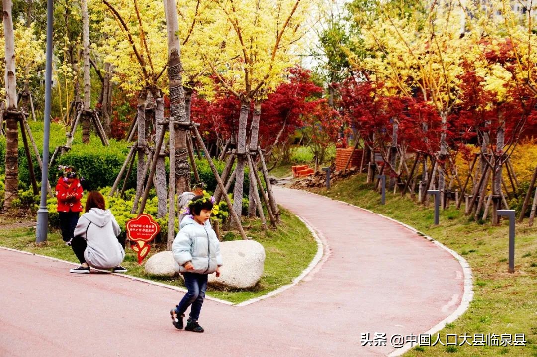 临泉县未来的样子！期待越来越好