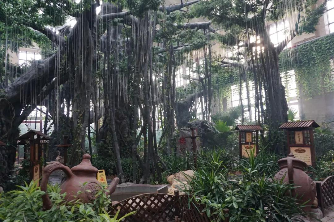 在夏季，还可以泡温泉吗？天津这几座温泉值得一试