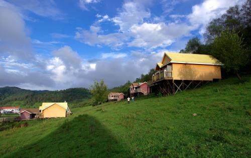 宝鸡旅游关山牧场,宝鸡到关山牧场自驾游攻略