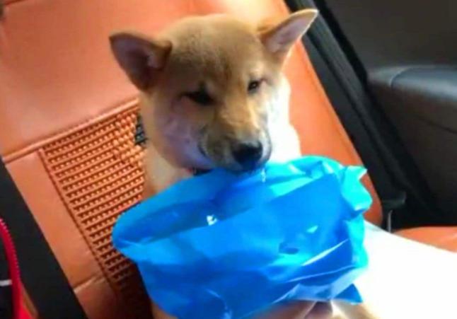 电动车乘坐有眩晕感如何解决,坐电动车也会头晕呕吐怎么回事