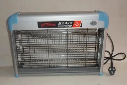 蚊子最怕这个小妙招,天热蚊子嗡嗡叫小窍门治死蚊子