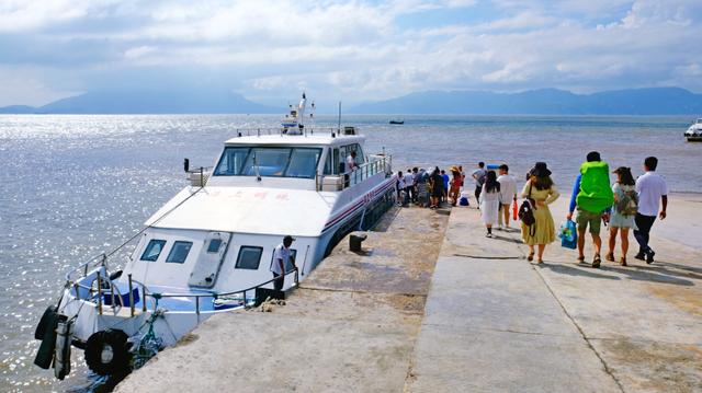 福鼎旅游数据,福鼎纪录片