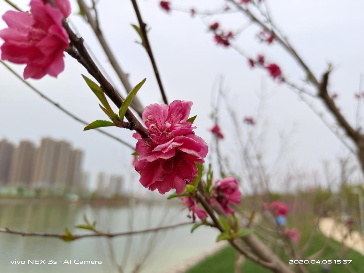 vivonex3s上手体验,追求极致游戏体验手机