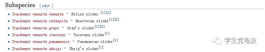 真假李逵——我们买到的“大河甜甜圈”是何许龟也?