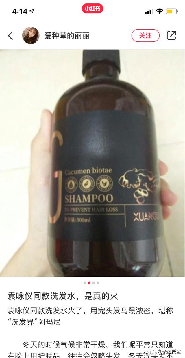 袁咏仪防掉发洗发水,袁咏仪去屑最好的洗发水