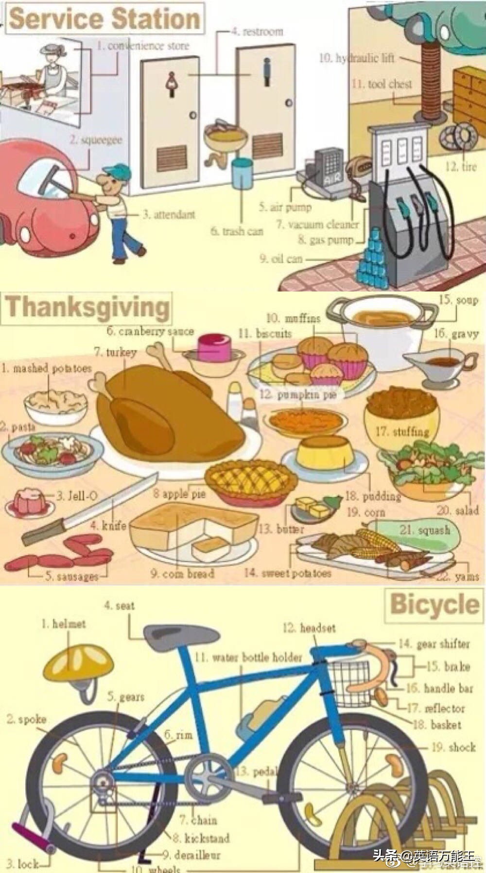 英语九宫格使用技巧,九宫格英语词汇表