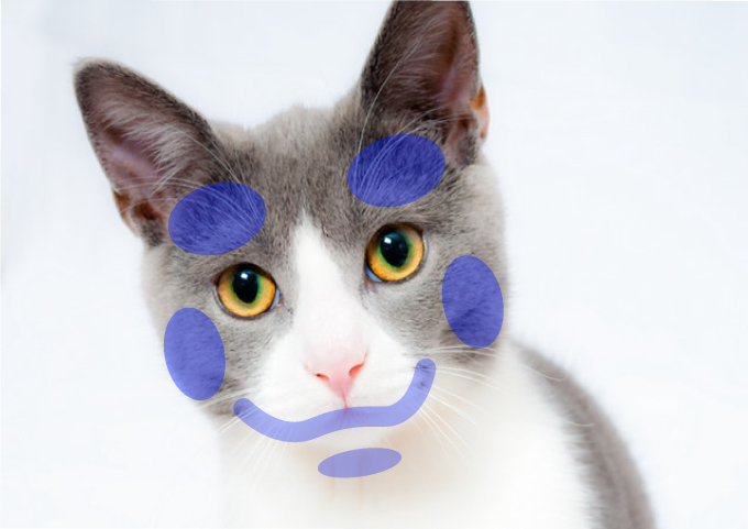 “猫咪*魂迷**水”真实存在吗？费洛蒙才没有吹得那么神