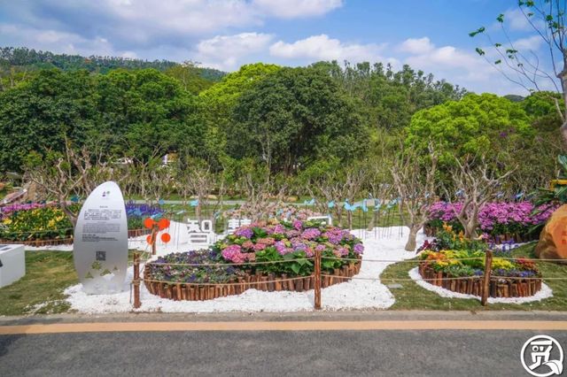 深圳史上最大最美的花展来啦,走进深圳仙湖植物园的国际花展