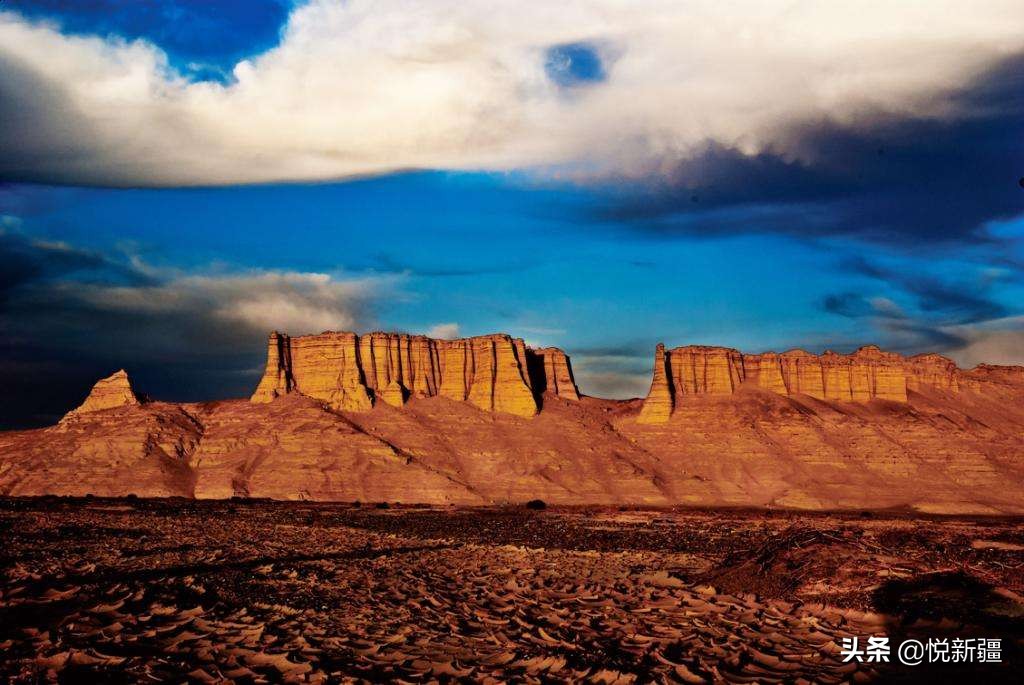 我来告诉你*疆新**为撒不包邮！！