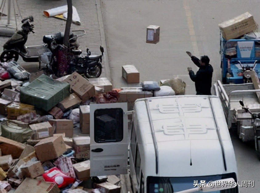 宠物生命当“惊喜”：鲜血淋漓的活体盲盒，成了当代年轻人的新宠