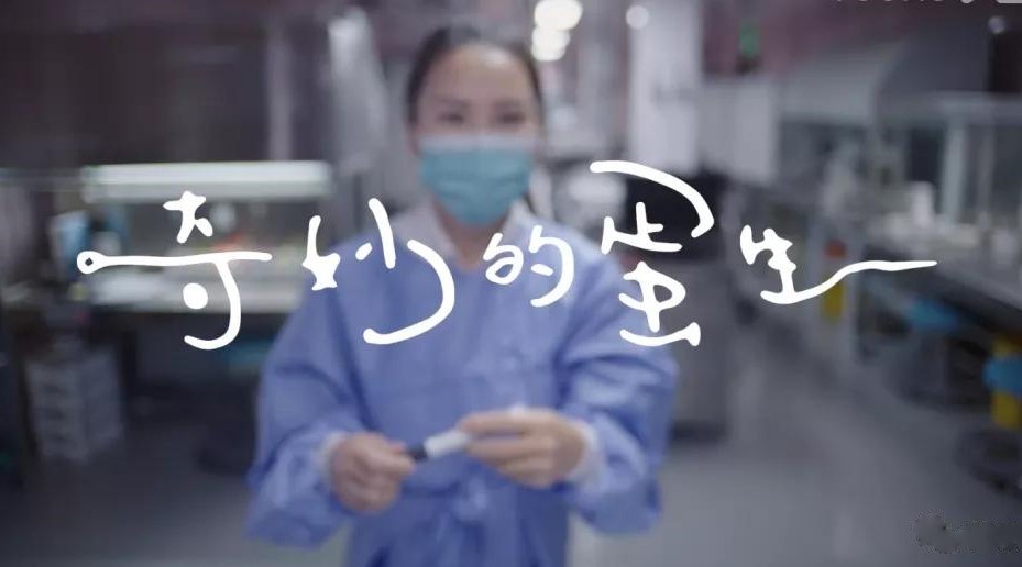 女子不能怀孕被婆婆逼离婚,女子不能怀孕丈夫不离不弃