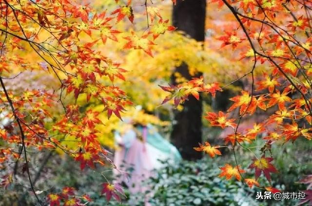 7个惊艳小众旅行地建议收藏哦,江苏省小众旅游地点