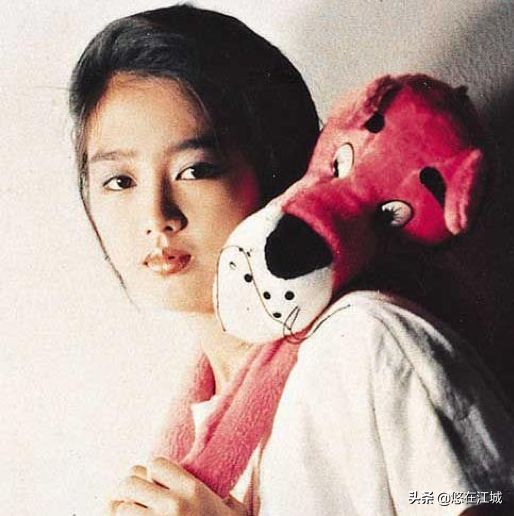 刘德华情史,刘德华朱丽倩