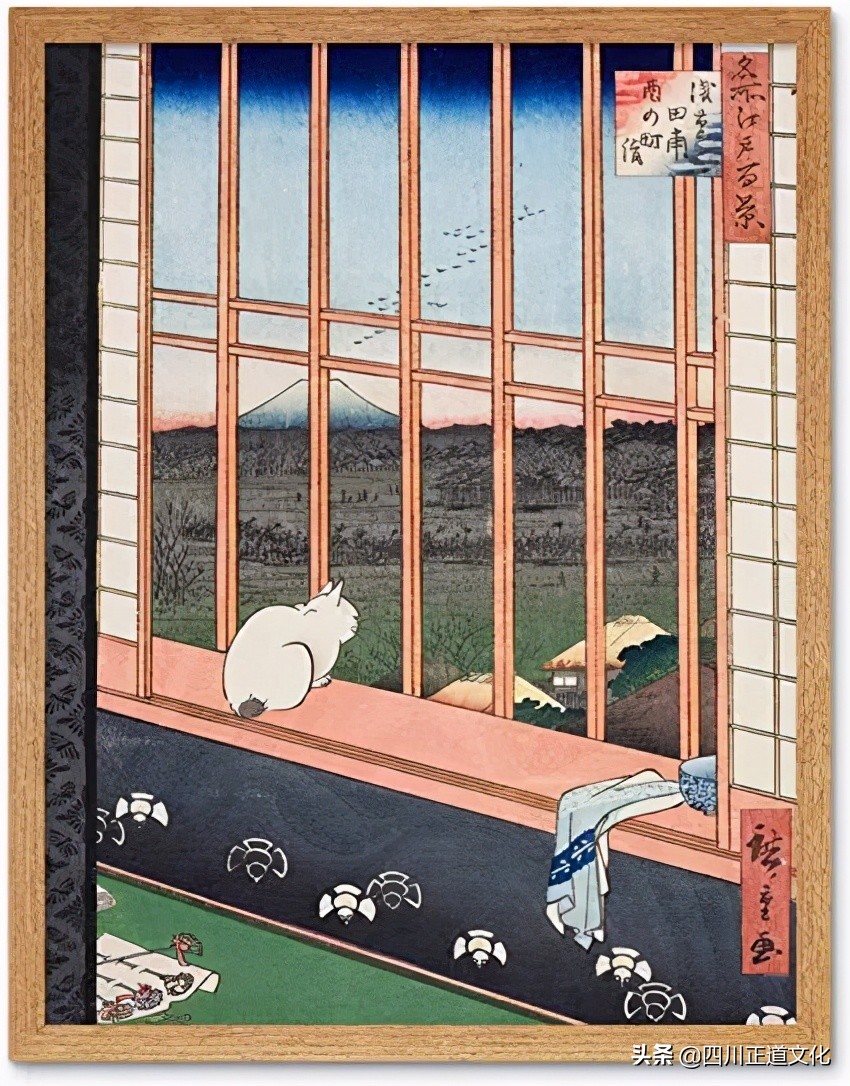 猫的故事,猫的故事视频