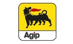 狗狗四个腿各跑各的,外国的狗狗品种