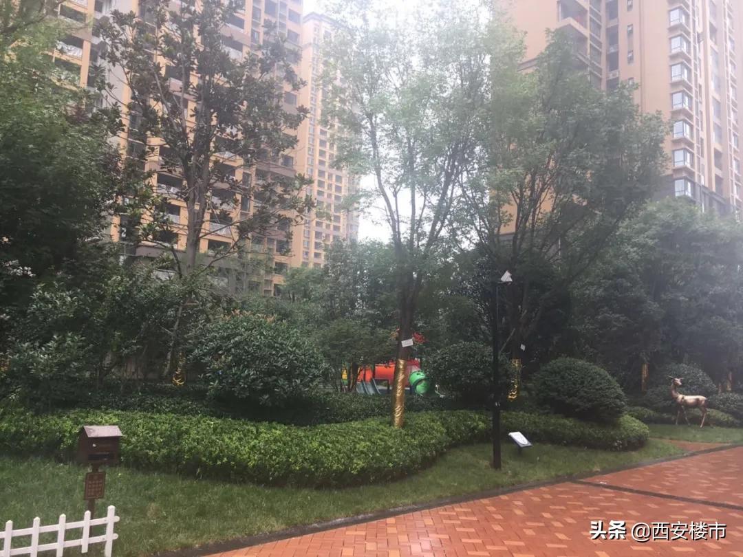 三迪枫丹有没有烂尾,2024年三迪枫丹首付多少钱