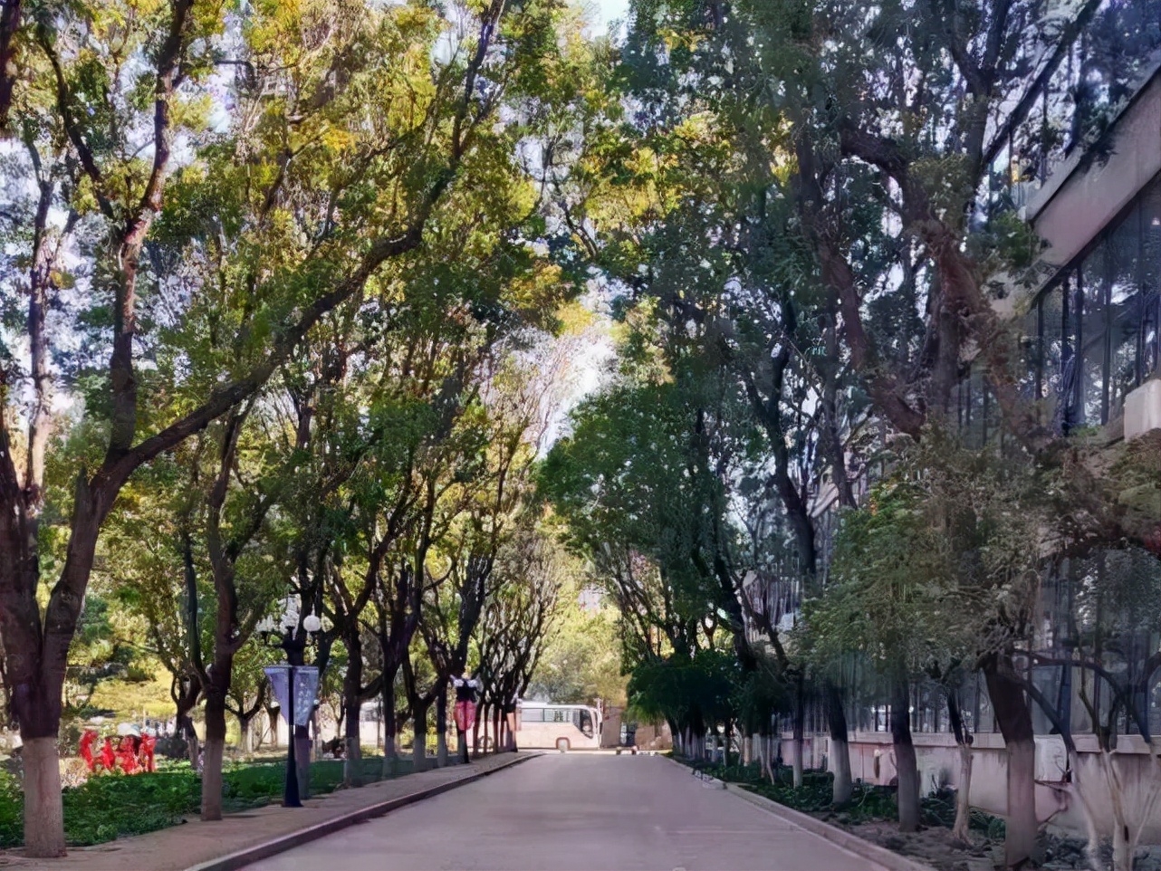 北京印刷学院美术类哪个专业好,北京印刷学院数字出版专业怎么样