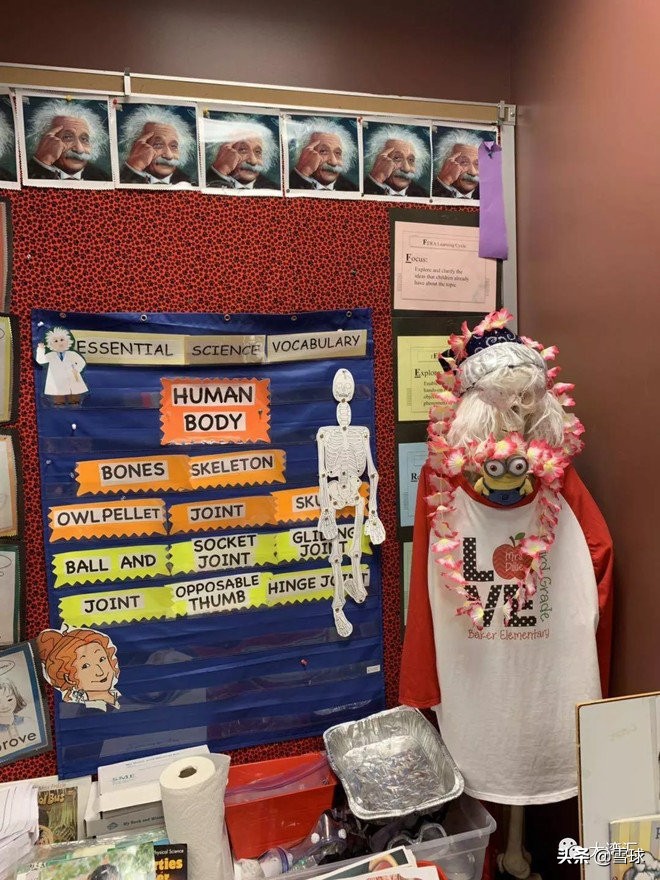 美国生活感悟视频,美国生活日常购物分享