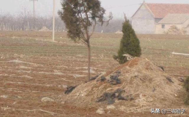 在农村,如果房前有坟墓,别人不迁走怎么办?