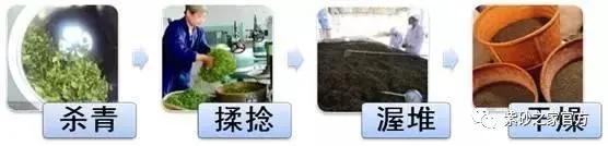 几块钱的茶怎么喝出几千块的效果,为什么这么便宜的茶泡起来很浓